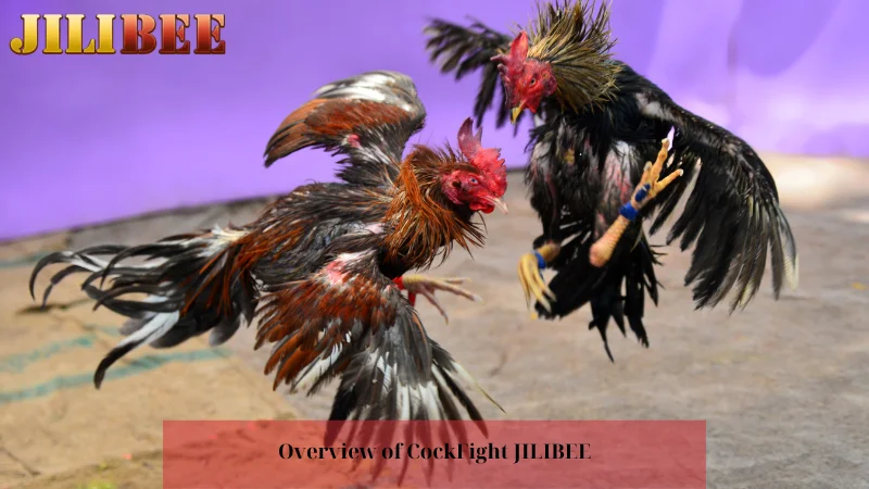 maya games earn money fc178 casino free 100 no deposit bonus